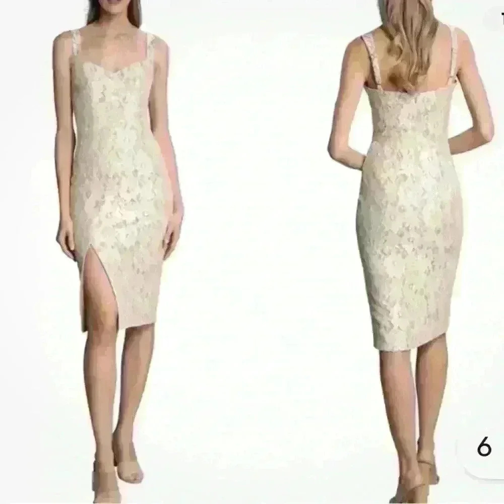 NWT Dress the Population Cadence Dress

XXS